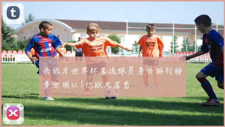 西班牙世界杯落选球员身价排行榜费尔明以1亿欧元居首