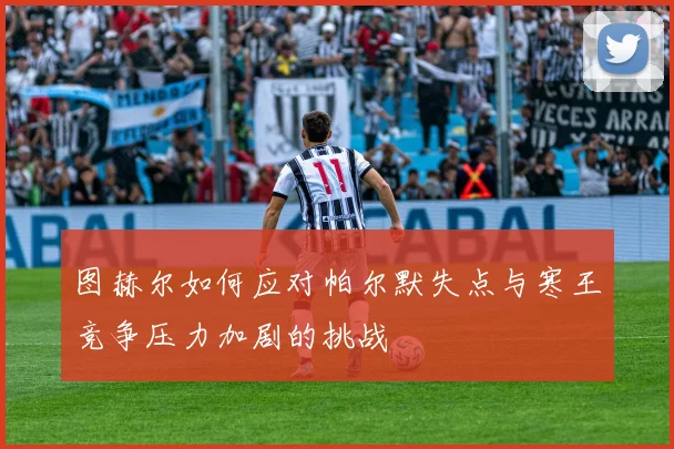 图赫尔如何应对帕尔默失点与寒王竞争压力加剧的挑战